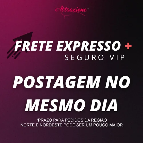 Frete Expresso com seguro VIP